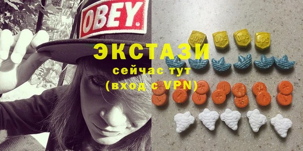 СК Новодвинск
