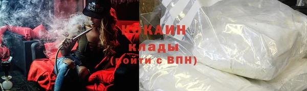 СК Новодвинск