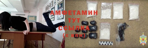 СК Новодвинск