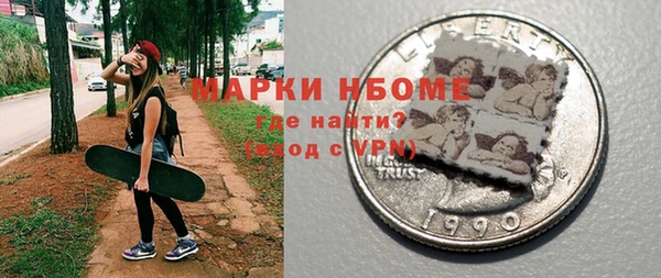 СК Новодвинск