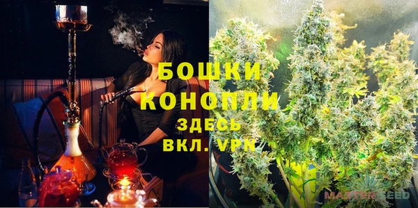 прущий лед Рославль