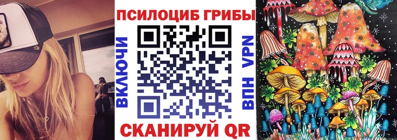 Псилоцибиновые грибы мицелий  МЕГА ТОР  Нюрба 
